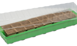 Staklenik 54X15X12cm 16 saksijica Windhager